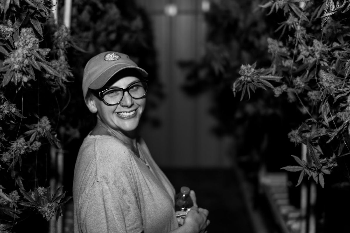 A grower standing in the drying room