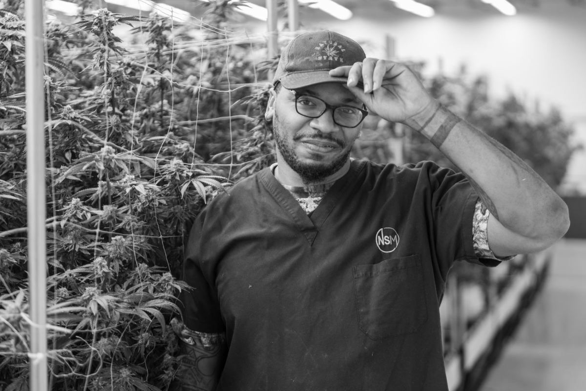 A member of the crew in the flower room