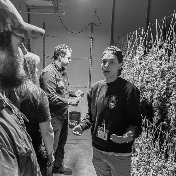 A grower talking through a harvest at the drying racks