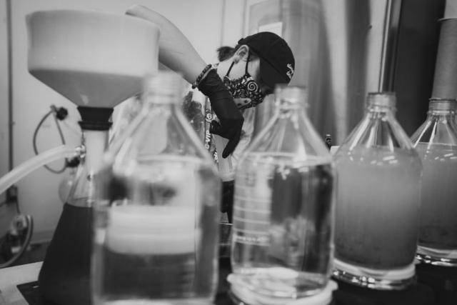 A worker running solventless extraction at the bench
