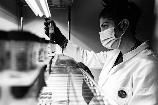 A lab tech holding a sample up to the light