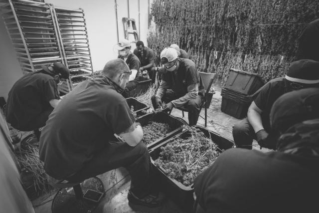 The crew sitting together at the trim table